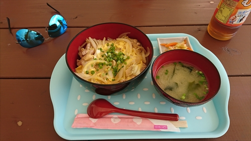 5日・沖縄本当最北端の辺戸岬より更に奥に行ってみた！
